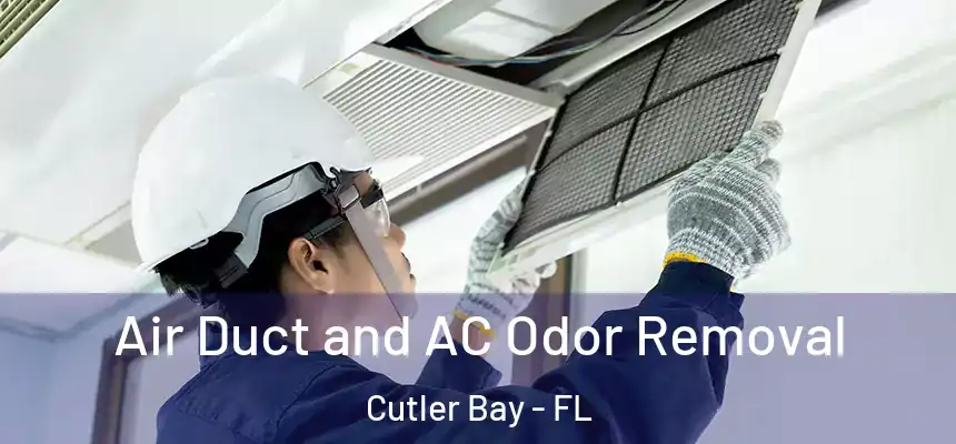 Air Duct and AC Odor Removal Cutler Bay - FL