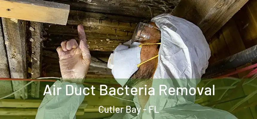 Air Duct Bacteria Removal Cutler Bay - FL