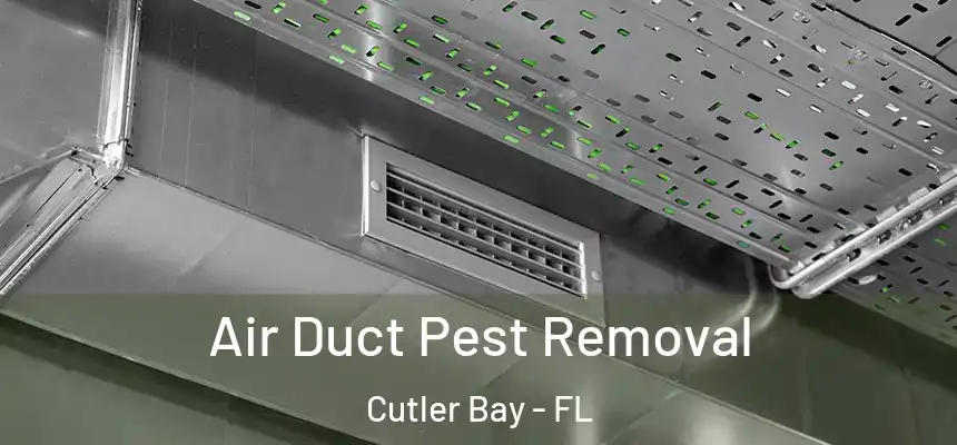 Air Duct Pest Removal Cutler Bay - FL