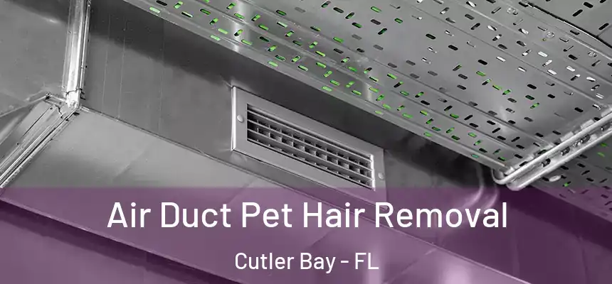 Air Duct Pet Hair Removal Cutler Bay - FL