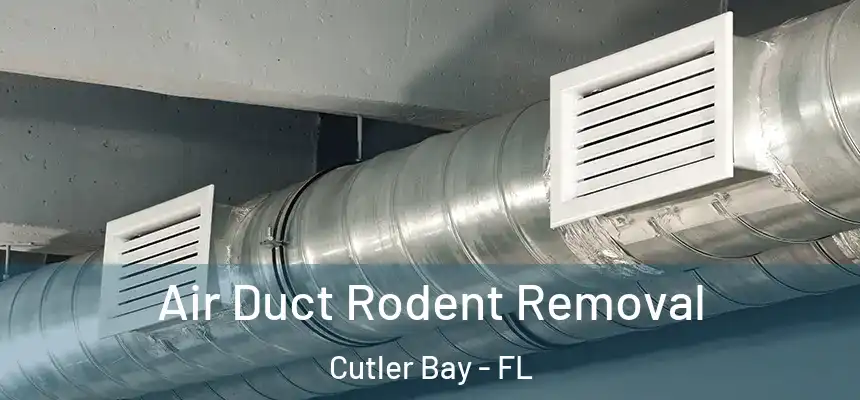 Air Duct Rodent Removal Cutler Bay - FL