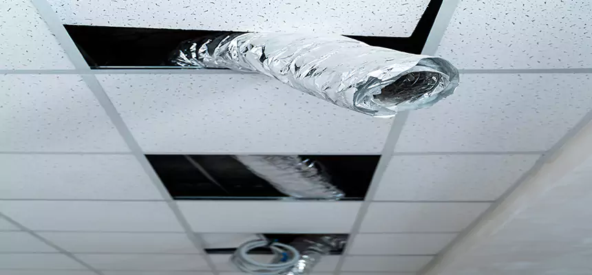 Affordable HVAC Sanitizing After Pest Removal in Cutler Bay