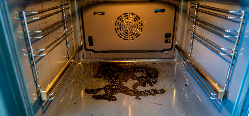 Our Dryer Vent Mold Cleaning Services in Cutler Bay, FL