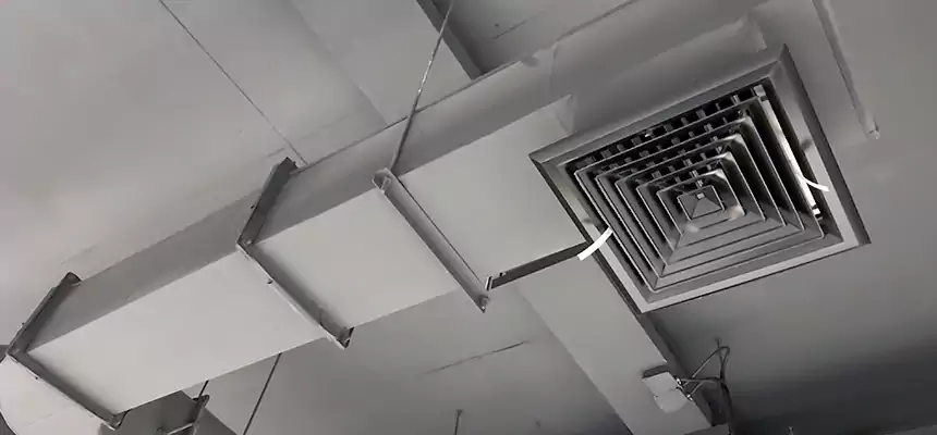 Our Pest Removal From Ducts Services in Cutler Bay, FL