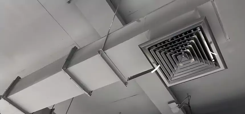 Our Rodent Droppings In Vents Services in Cutler Bay, FL