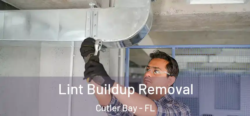 Lint Buildup Removal Cutler Bay - FL