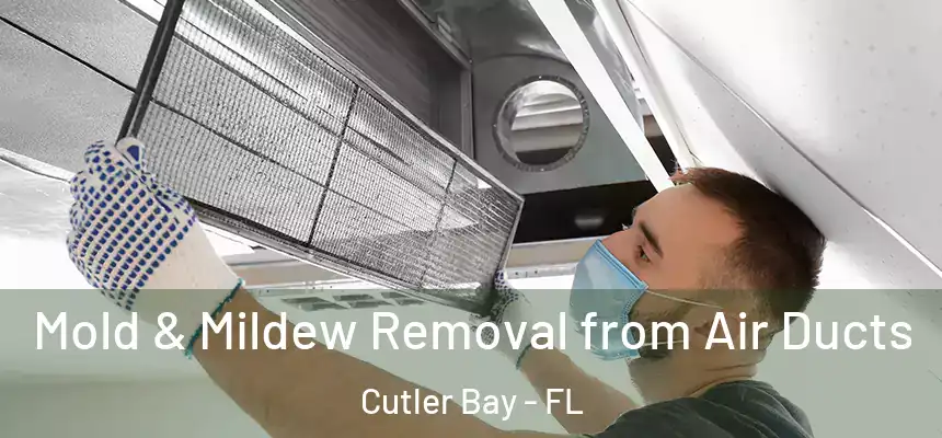 Mold & Mildew Removal from Air Ducts Cutler Bay - FL