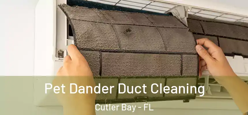 Pet Dander Duct Cleaning Cutler Bay - FL