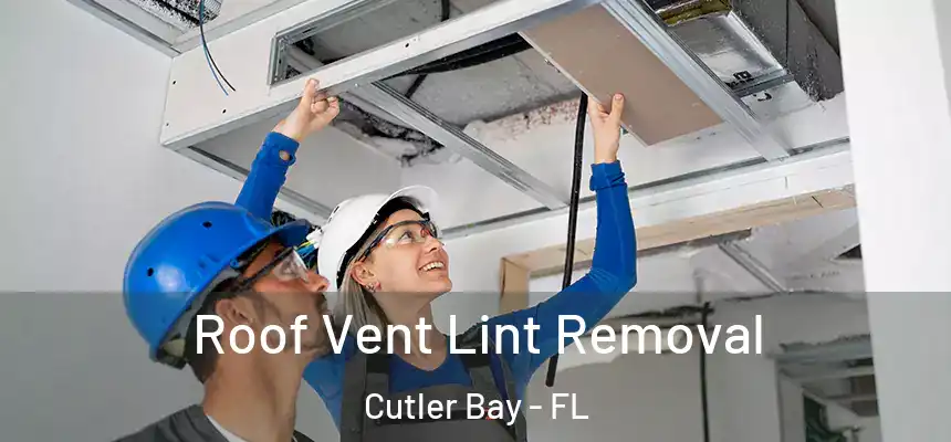 Roof Vent Lint Removal Cutler Bay - FL