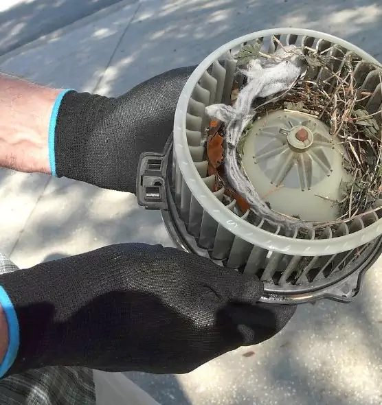 About Air Duct Rat Removal in Cutler Bay, FL