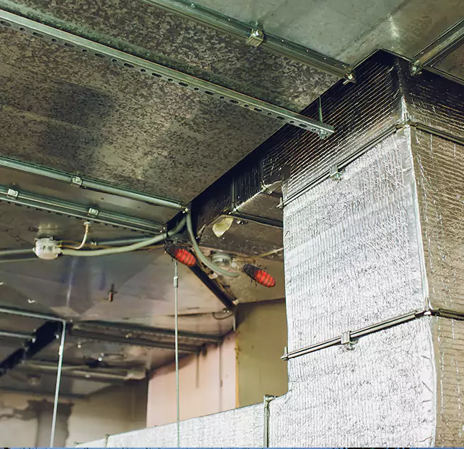 Why Homeowners & Businesses Trust Us in Cutler Bay, FL?