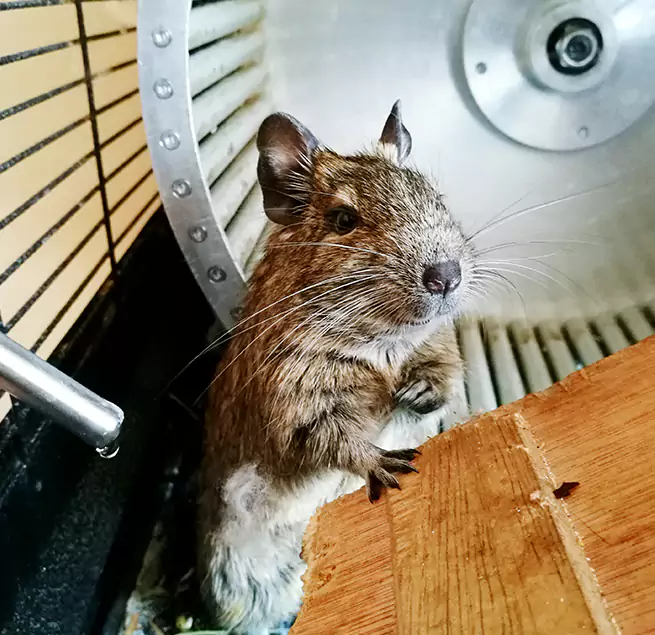 Why Homeowners & Businesses Trust Us Cutler Bay, FL