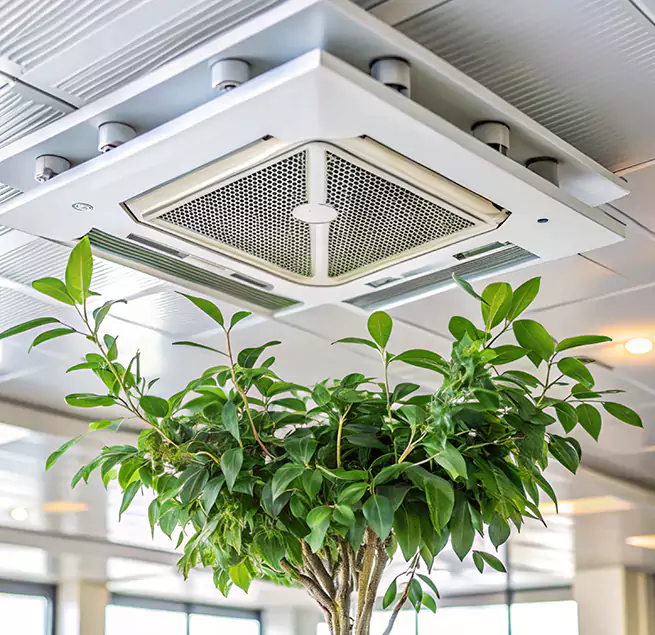 Why Homeowners & Businesses Trust Us in Cutler Bay, FL?