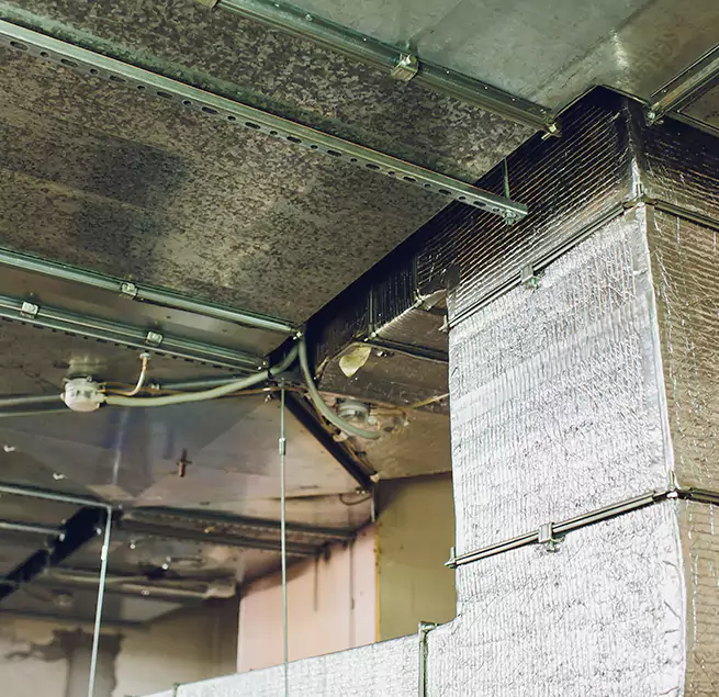 Why Homeowners & Businesses Trust Us in Cutler Bay, FL?